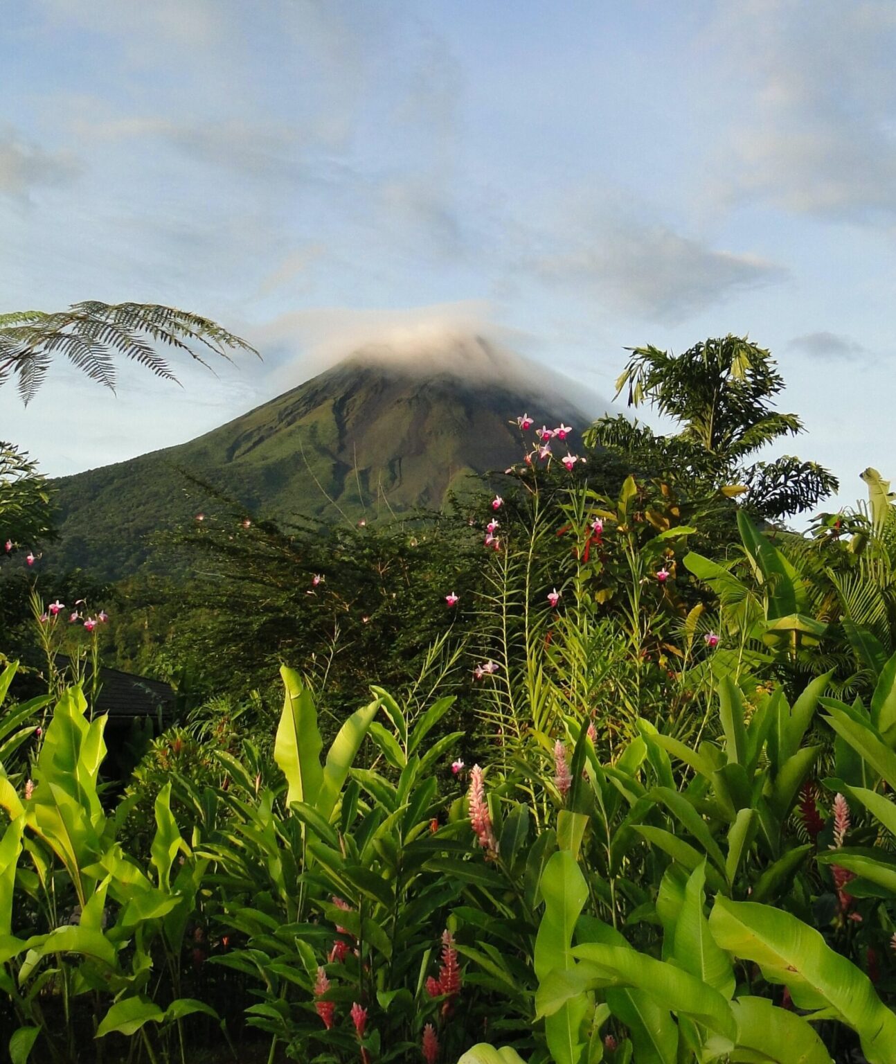 14 Most Instagrammable Places In Costa Rica 2024 Wayfare With Pierre   Pexels Chiaroscuro 10832933 Scaled E1692332555640 1294x1536 