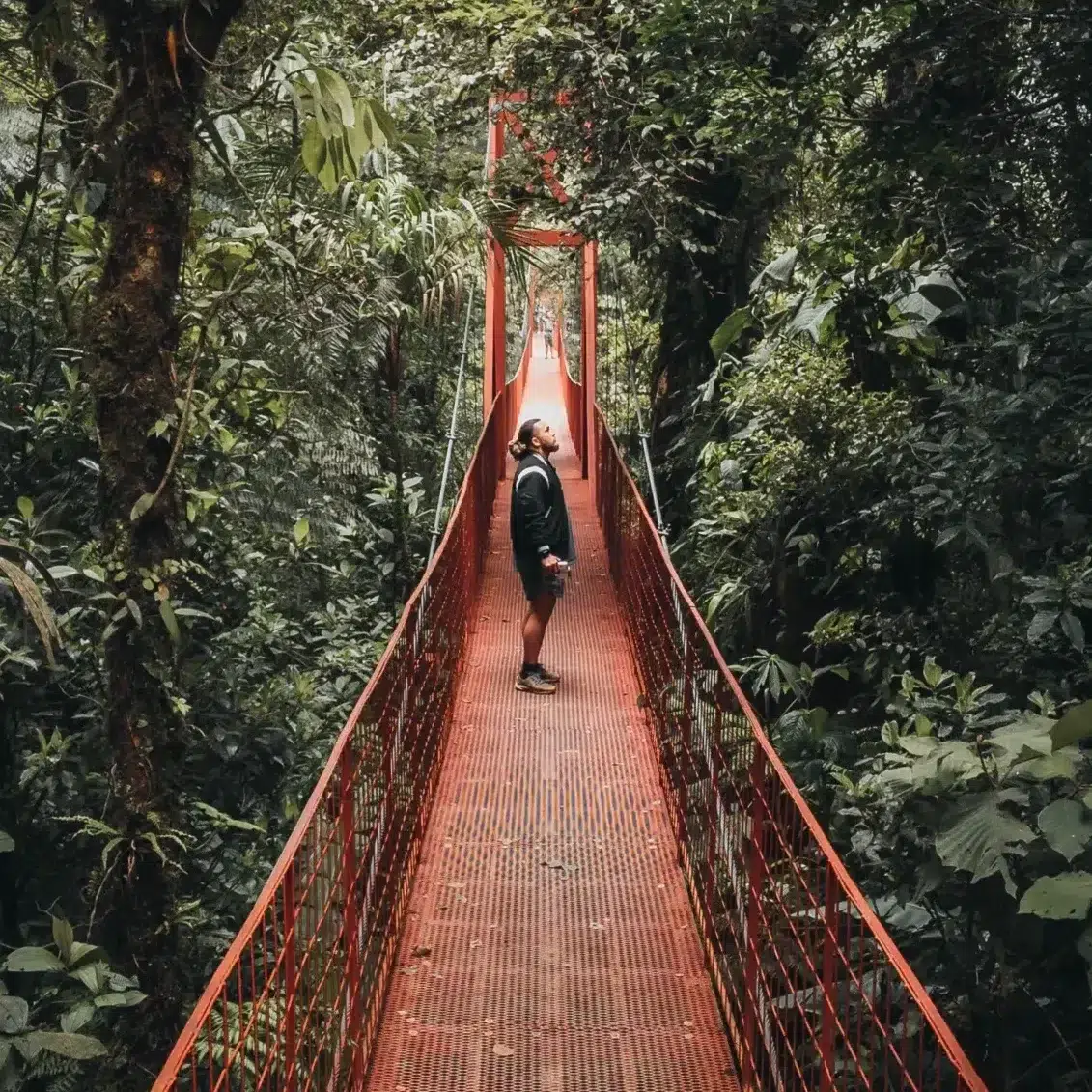 Pierre standing on the Mistico Hanging Bridge in La Fortuna, Costa Rica