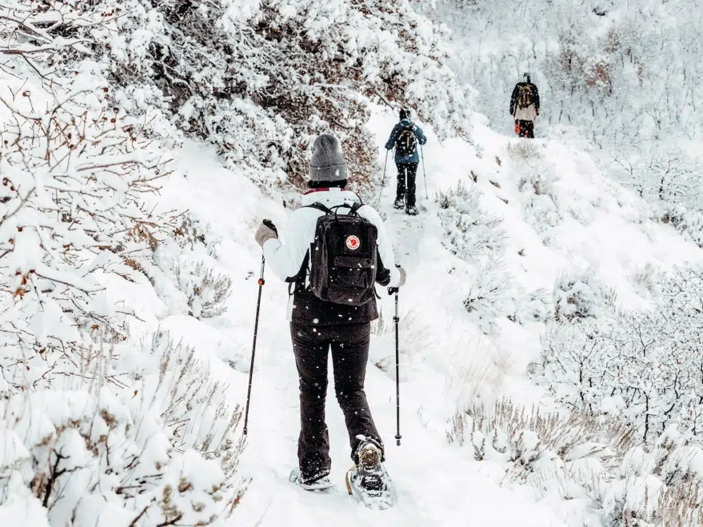 People snowshoeing on a snowy trail in Yellowstone National Park 