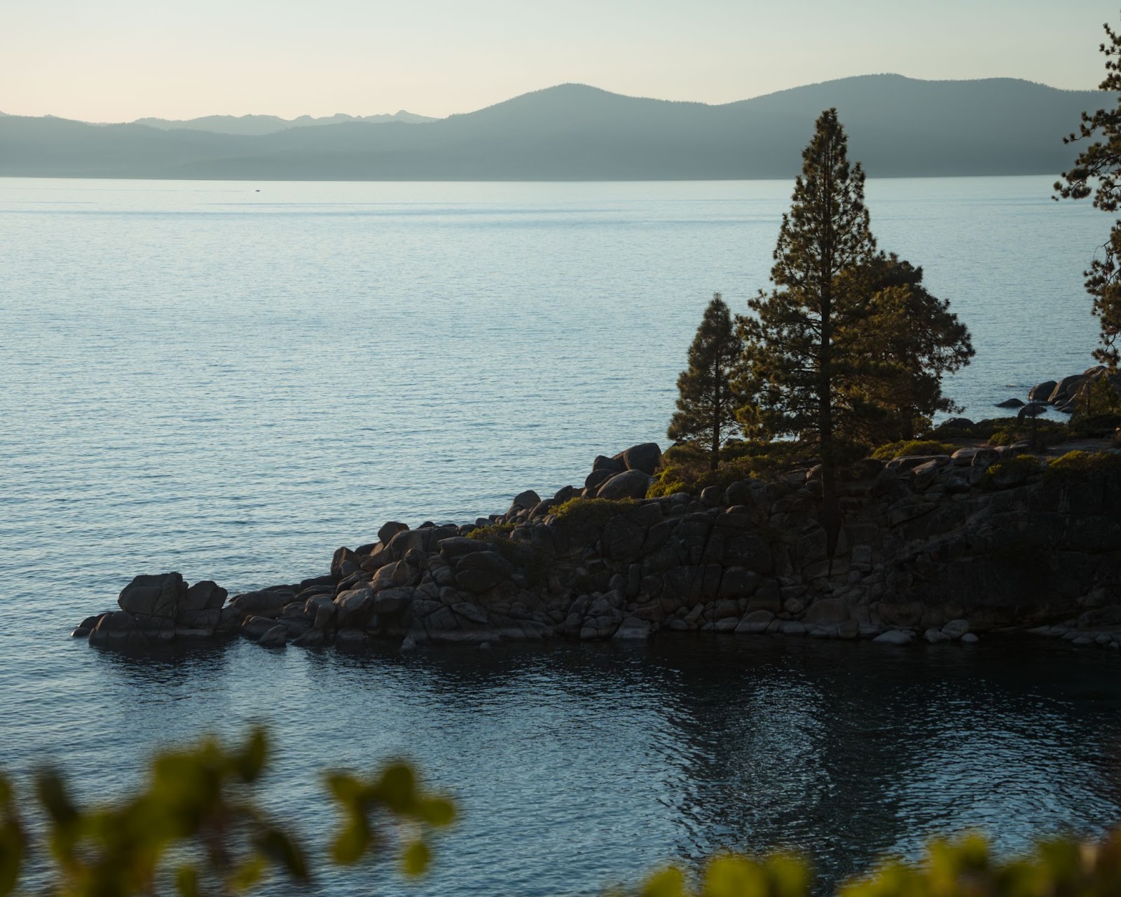 View of trees near Secret Cove Beach in Carson City, Nevada